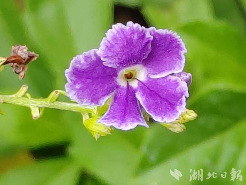 申慱sunbet官方网app